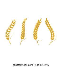 Agriculture wheat vector icon design 