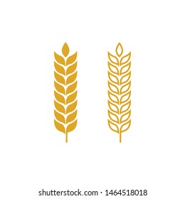 Agriculture wheat vector icon design 