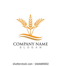 Agriculture wheat vector icon design 