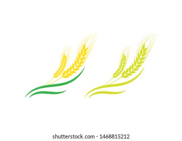 Agriculture wheat vector icon design