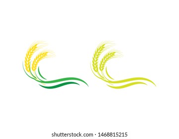 Agriculture wheat vector icon design