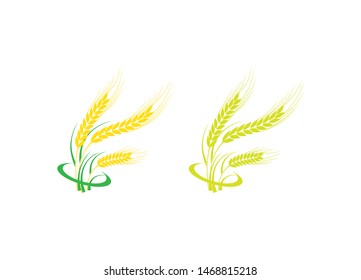 Agriculture wheat vector icon design