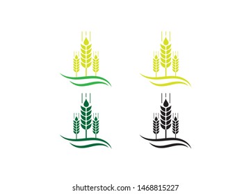 Agriculture wheat vector icon design