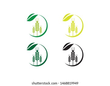 Agriculture wheat vector icon design