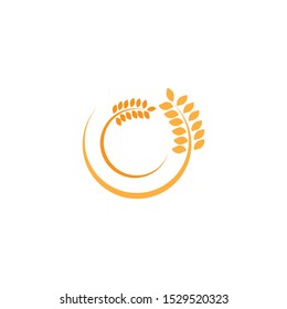 Agriculture wheat vector icon design