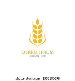 Agriculture wheat vector icon design 