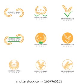 Agriculture wheat vector icon design 