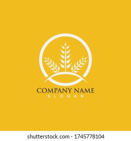 Agriculture wheat vector icon design 