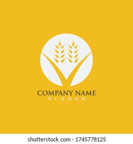 Agriculture wheat vector icon design 