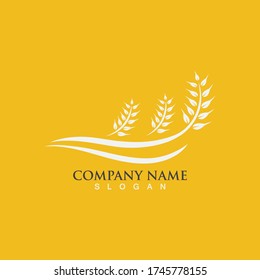 Agriculture wheat vector icon design 