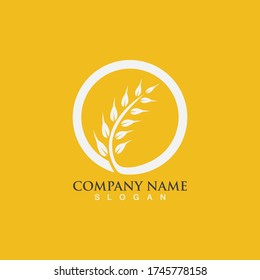 Agriculture wheat vector icon design 