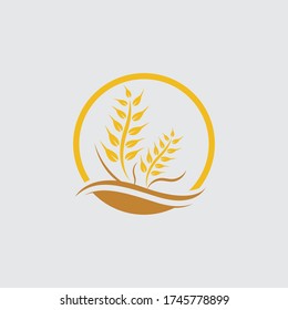Agriculture wheat vector icon design 