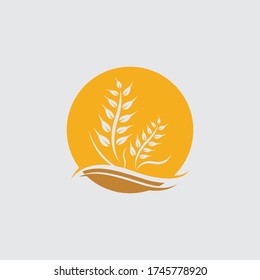 Agriculture wheat vector icon design 