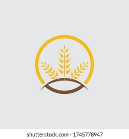 Diseño de iconos de vectores de trigo agrícola 
