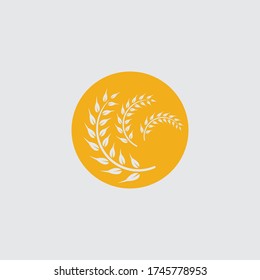 Agriculture wheat vector icon design 