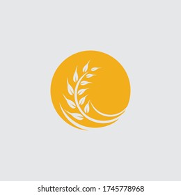 Agriculture wheat vector icon design 