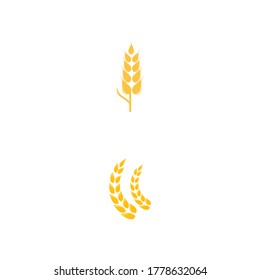Agriculture wheat vector icon design 