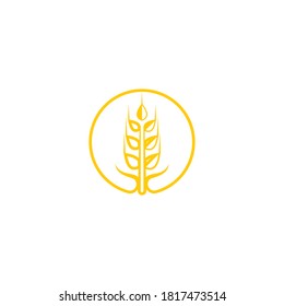 Agriculture wheat vector icon design 