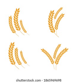 Agriculture wheat vector icon design 