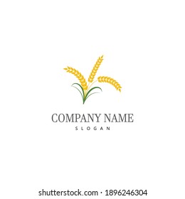 Agriculture wheat vector icon design 