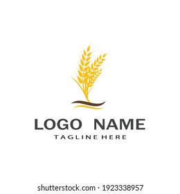 Agriculture wheat vector icon design 