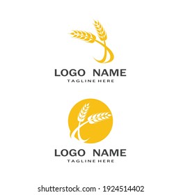 Agriculture wheat vector icon design 
