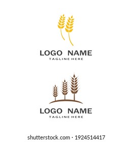 Agriculture wheat vector icon design 