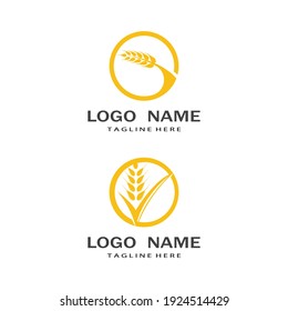 Agriculture wheat vector icon design 