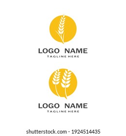 Diseño de iconos de vectores de trigo agrícola 