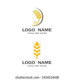 Agriculture wheat vector icon design 