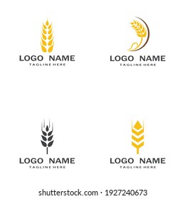 Agriculture wheat vector icon design 