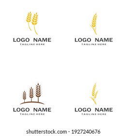 Agriculture wheat vector icon design 
