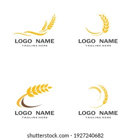 Agriculture wheat vector icon design 