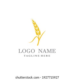 Agriculture wheat vector icon design 