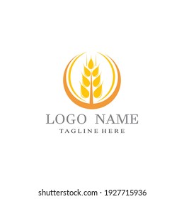 Agriculture wheat vector icon design 