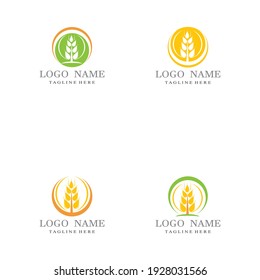 Agriculture wheat vector icon design 