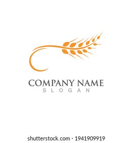 Agriculture wheat vector icon design 