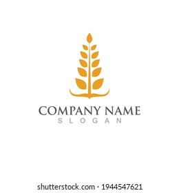 Agriculture wheat vector icon design 