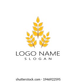 Agriculture wheat vector icon design 