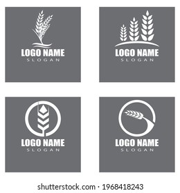 Agriculture wheat vector icon design 