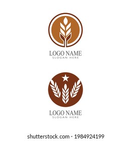 Diseño de iconos de vectores de trigo agrícola 