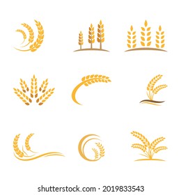 Agriculture wheat vector icon design 