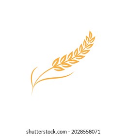 Agriculture wheat vector icon design 