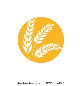 Agriculture wheat vector icon design 