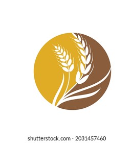Agriculture wheat vector icon design 