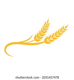 Agriculture wheat vector icon design 