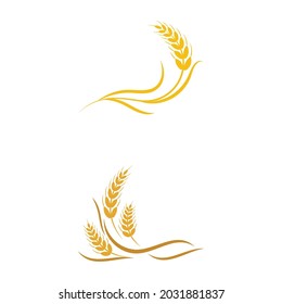 Agriculture wheat vector icon design 