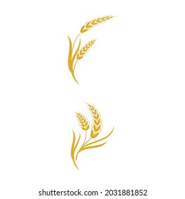 Diseño de iconos de vectores de trigo agrícola 
