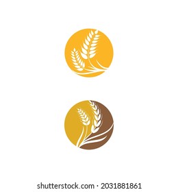 Agriculture wheat vector icon design 