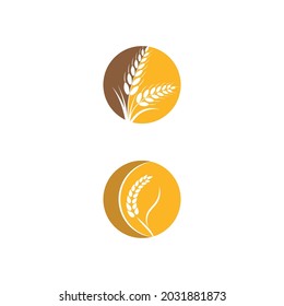 Agriculture wheat vector icon design 